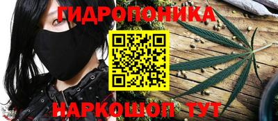 ГАЛЛЮЦИНОГЕННЫЕ ГРИБЫ Кизляр