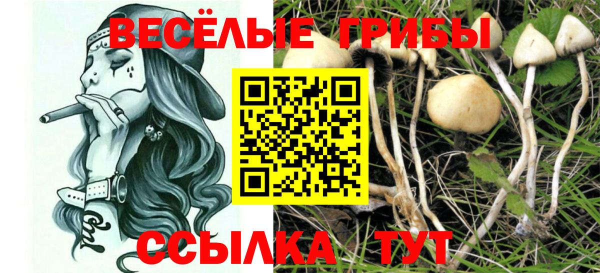 Псилоцибиновые грибы MAGIC MUSHROOMS Амурск
